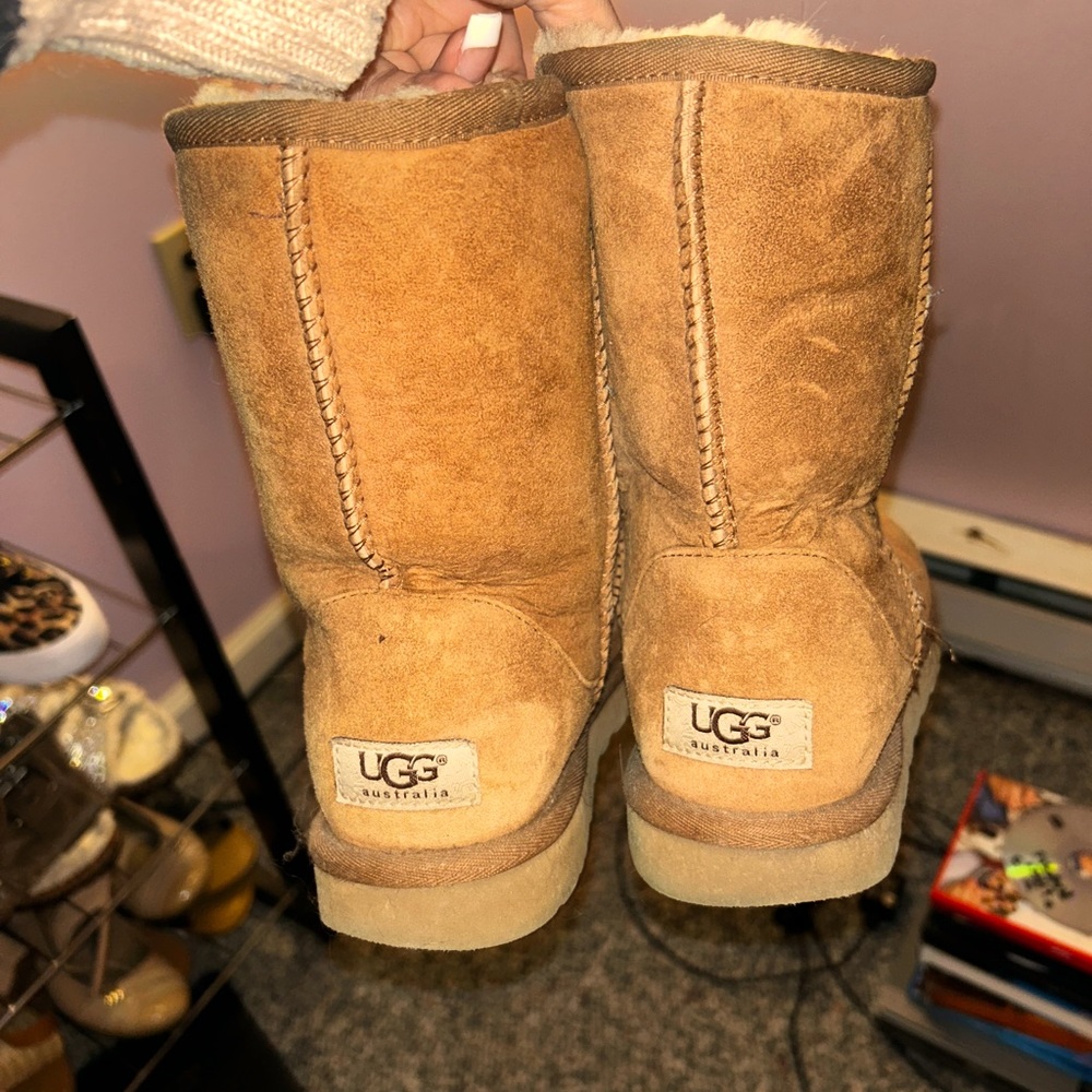 Chestnut Ugg boots